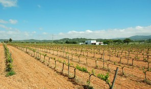 buscastell sant antoni san antonio ibiza eivissa